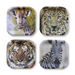 Jungle Print Paper Plates 7" | 8ct
