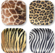 Jungle Print Paper Plates 9" | 8ct