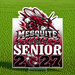 A custom sports yard sign for 'Mesquite Skeeters Senior 2027' displayed on a green grass background. The sign features a red and black cartoon bee mascot, bold white and red lettering, and a white background with a red-to-black gradient.
