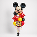 Mickey’s All-Star Birthday Bouquet | 15pc