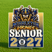 A rectangular metal sign for Middleton Vikings Senior 2027 stands on a small metal stake on a green grass field. The sign features a detailed graphic of a Viking warrior with a horned helmet, with the text 'MIDDLETON VIKINGS SENIOR 2027' in bold white, gold, and blue lettering.
