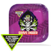 Monster Jam Square Plates 7in | 8ct