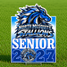 A rectangular commemorative sign for North Mesquite Stallions Senior 2027, featuring a large blue and white horse head logo and bold white lettering, displayed on a green grass background.
