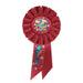 An award rosette ribbon featuring a 2nd place design. Sold as a single piece.