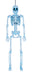 Product photo of the 16" Black Light Wicked Bones Skeleton on a plain white background. It measures about 16". A Halloween decoration.