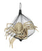 Product photo of the Skeleton Spiders on a plain white background. It measures about 6.5x3.75x6". Comes as a set of 3. A Halloween decoration.