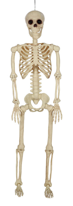 Product photo of the Multi Pose N Stay Skeleton on a plain white background. It measures about 11"x4"x36". A Halloween decoration.