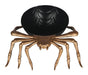 Product photo of the Spider Bowl on a plain white background. It measures about 9x875x2.5". A Halloween decoration.