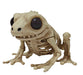 Product photo of the Cute Skeleton Frog on a plain white background. It measures about 5.12x5.12x3.37. A Halloween decoration.