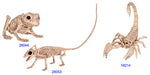 Product photo of the Mini Skeleton Creatures Assorted on a plain white background. A Halloween decoration.