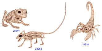 Product photo of the Mini Skeleton Creatures Assorted on a plain white background. A Halloween decoration.