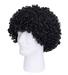 Curly Wig - Black | 1ct