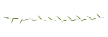 Fabric Vine Leaf Garlands | 10pc