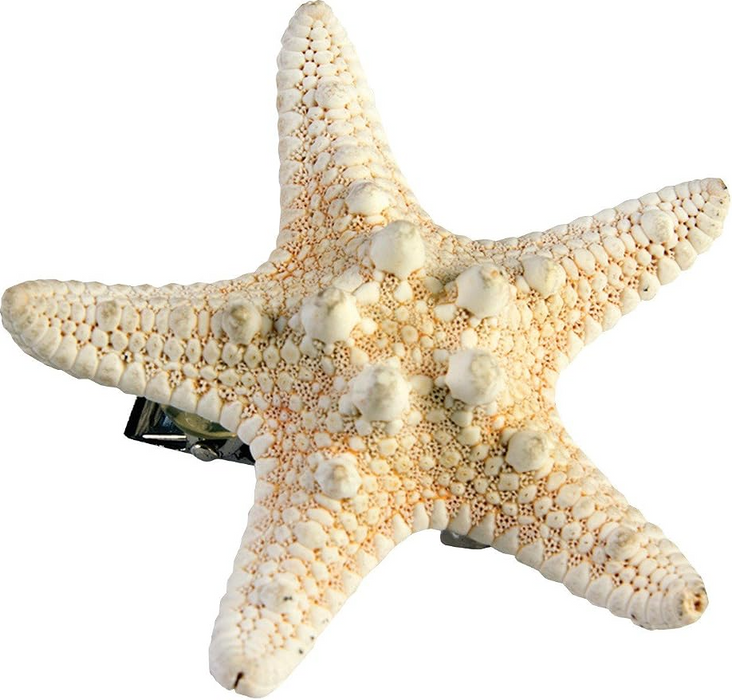 Mermaid Starfish Hair Clip | 1ct