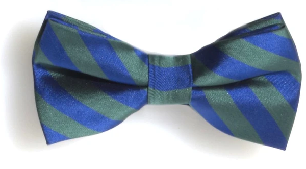 Green / Blue Striped Bowtie | 1ct