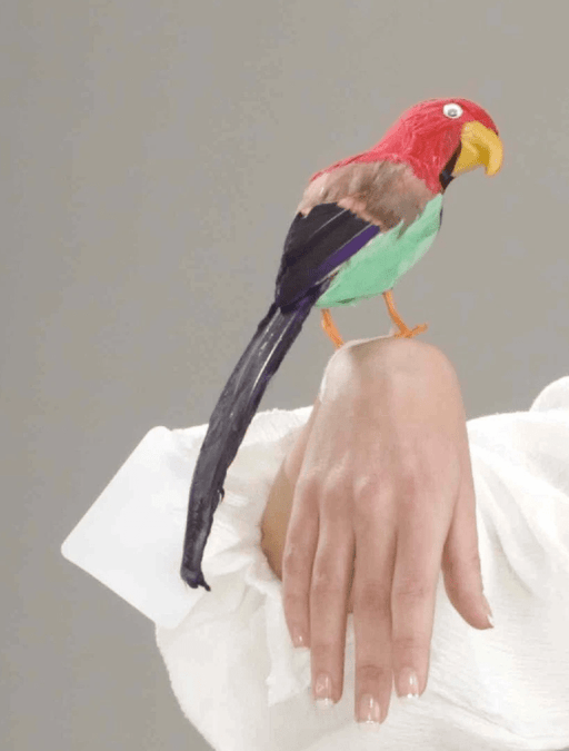 Parrot Wrist Bracelet | 1ct