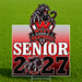 A rectangular yard sign displayed on a metal stand in a grassy field. The sign features a black panther mascot above a red-to-white gradient background with the text 'WEST HIGH PANTHERS', 'SENIOR', and '2027' in large white and black lettering.