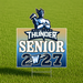 A rectangular yard sign on a metal stake displayed on a green grass field. The sign features the Westlake Thunder logo with a blue horned mascot above the words 'WESTLAKE THUNDER SENIOR 2W27'.