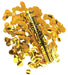 Gold confetti cannon with black and gold label surrounded by scattered gold foil confetti circles on white background.
