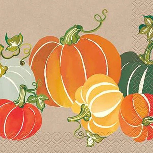Colorful Pumpkins Beverage Napkins | 16 ct?