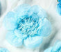 Scallop Shaped Tissue Flower 20" | 1ct - Zurchers
