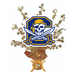 Pirate skull logo centerpiece featuring a blue shield with gold trim, crossed swords, and a skeleton wearing a yellow bandana, surrounded by cascading gold stars and secured with a gold ribbon bow.
