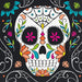 Day of the Dead Skull Lunch Napkins | 20 ct - Zurchers