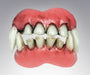 Demon Teeth | 1ct - Zurchers