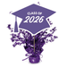Purple graduation cap centerpiece with bursting star confetti design and tassel, labeled Class of 2026.