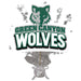 Green Canyon Wolves school logo centerpiece spray featuring a green wolf head with silver stars and a clear cellophane-wrapped base with ribbon bow.