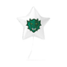 Star-shaped balloon with a green dragon design on a white background