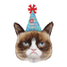 Grumpy Cat face-shaped mylar balloon with blue party hat reading "This Is My Party Face" and red bow on top.