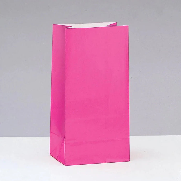 12ct Hot Pink Paper Bags