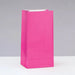 12ct Hot Pink Paper Bags
