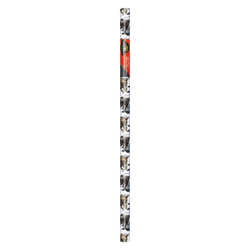 Jurassic World Rebirth Gift Wrap Roll | 1ct