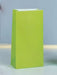 Bright lime green paper bag with a rectangular shape and flat bottom, shown standing upright against a light blue background.