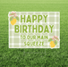 Main squeeze birthday yard sign featuring a sage green gingham background, bold green and white text that reads “Happy Birthday to Our Main Squeeze,” lemon graphics with pink bow accents, and a white rectangular border displayed in grass.