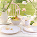 Outdoor table setting with white tableware, fruit, and flowers in a garden.