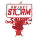 Red and white decorative centerpiece spray featuring "Owyhee Storm" text in a rounded rectangle frame, with a red bow base and bursting stars extending upward.
