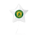White star-shaped foil balloon with a green and gold circular Parkview Vikings logo in the center, attached to a clear string.