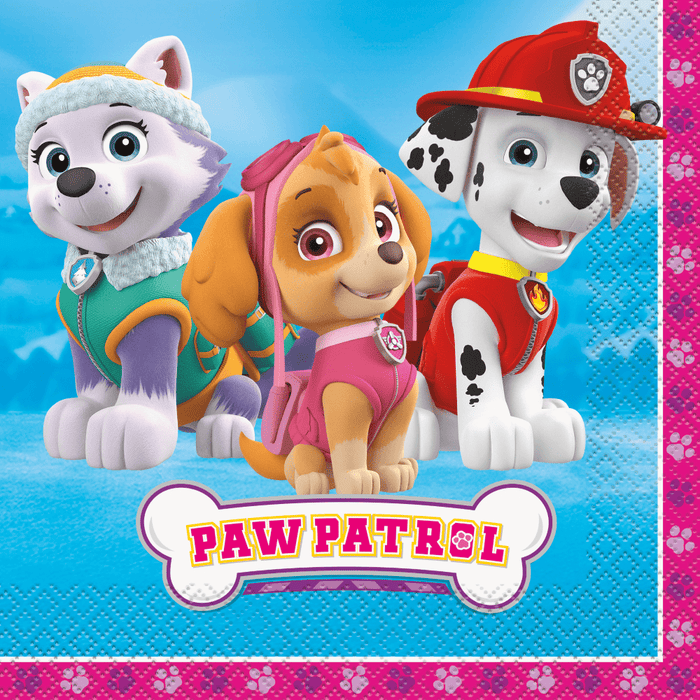 16ct Paw Patrol-themed paper napkins with cartoon characters on a blue and pink background.