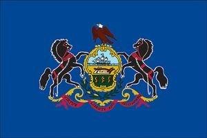 Pennslyvania State Flag with Stick 4" x 6" | 1 Count
