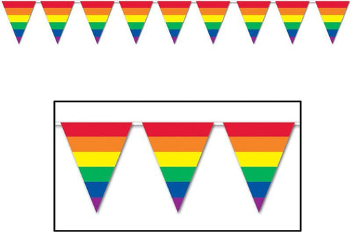Rainbow Pennant Banner | 1 ct