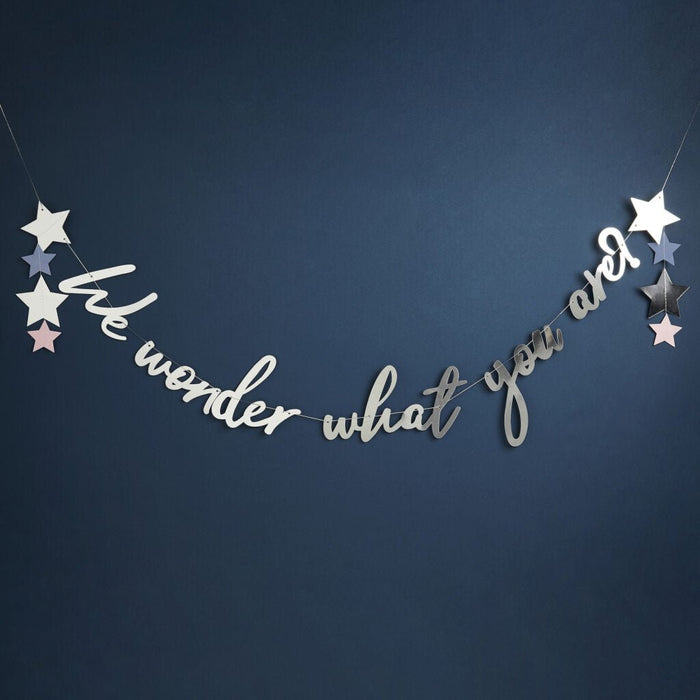 Silver metallic banner with "we wonder what you are" script text and hanging star decorations in white, gray, and pink on a dark blue background.