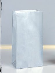 Silver Metallic Paper Bag | 10ct