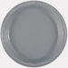50ct 10in Plastic Plate Silver - Party Supplies