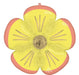 Soulful Blossoms Daisy Flower Supershape Mylar Balloon 28" | 1 ct