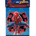 Spider-Man loot bags featuring Spider-Man in an action pose with red and blue web designs, pack of 8.