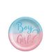 Round paper dessert plate with blue top half reading "Boy" and pink bottom half reading "Girl?" in script text.