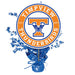 Timpview High School Centerpiece Spray 14" | 1 ct - Zurchers